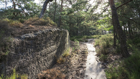 Tajný život skal - V bludišti skal