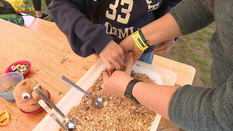 Zprávičky - 27. dubna