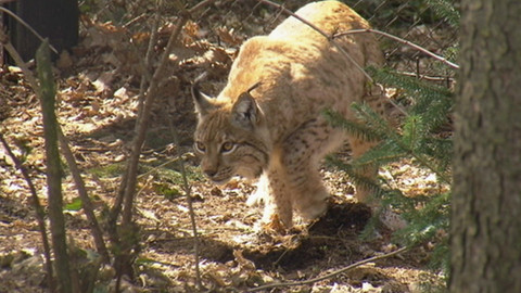 Chcete mě? - 24. ledna 2016