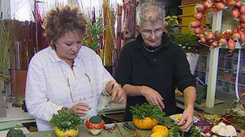 Dobrá rada nad zlato - 2. prosince 2006