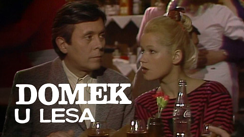 Domek u lesa