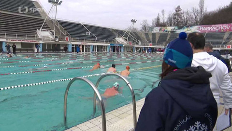 Sport v regionech - M ČR v zimním plavání
