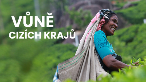 Vůně cizích krajů