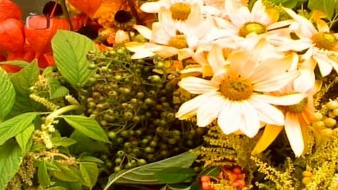 Zahrada je hra - 3. července 2008