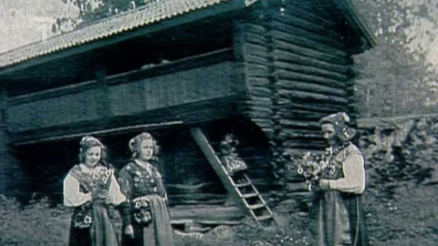 Domácí štěstí - 11. června 2000