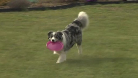 Černé ovce - 15. dubna 2014