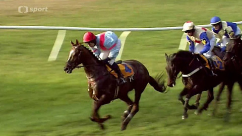 Velká pardubická - historie - 2008