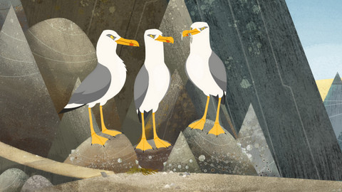 Skála papuchalků - Běžet, mávat, letět