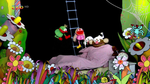 Studio Kamarád - 29. června