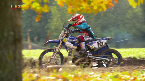 Lvíčata - 19. listopadu 2022