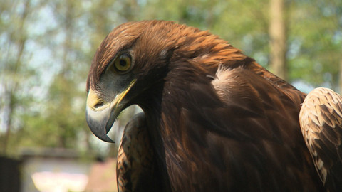 Chcete mě? - 27. listopadu 2016