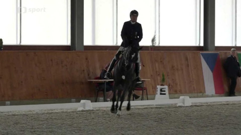 Jezdectví - Mezinárodní závody v paradrezuře CPDI Královice