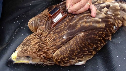 Zprávičky - 3. července 2019