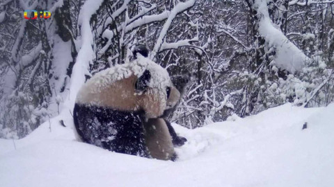 Zprávičky - 27. ledna 2024