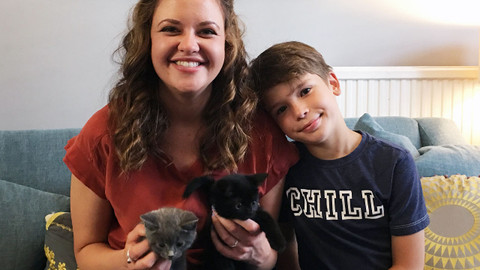 Můj mazlíček a já - 6/25 Koťata