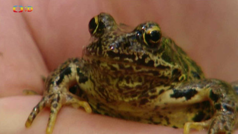 Terčin zvířecí svět - 18. listopadu 2022