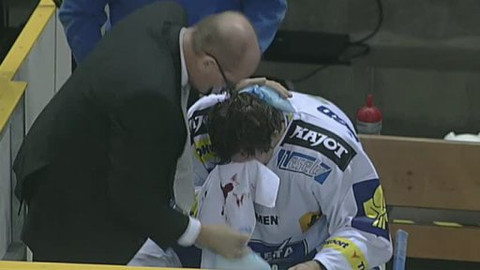 Buly hokej - Bílí Tygři Liberec - HC Kometa Brno