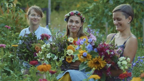 Herbář - Herbář VI