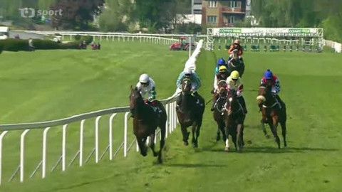 Jezdectví - Jarní cena klisen 2014