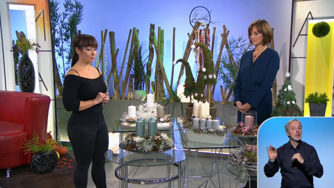 Sama doma - 21. listopadu 2018