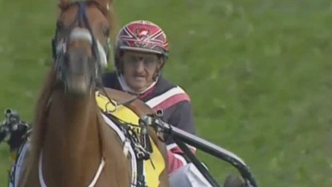 Jezdectví - České klusácké derby