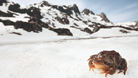 Planeta Země - 6/8 Extrémy