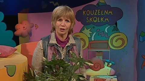 Kouzelná školka - 23. dubna 2013