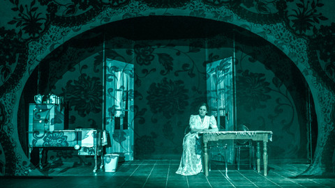 Záznamy představení regionálních divadel - Česká kuchařka