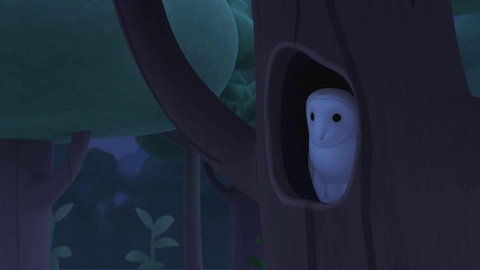 Leo, strážce přírody - Sova pálená