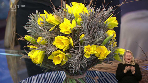 Sama doma - 11. února