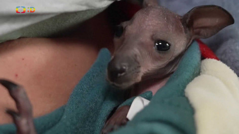 Zprávičky - 2. března