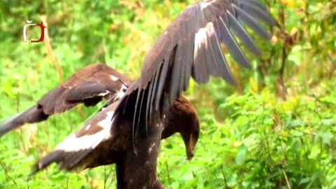 Kvarteto - 3. května 2011