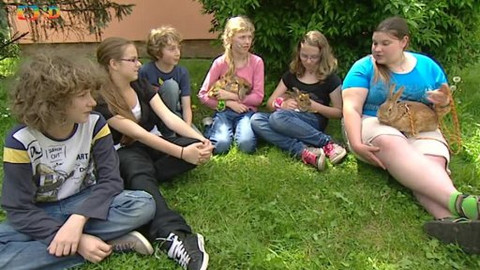 Náš zvěřinec - Králičí rekordy