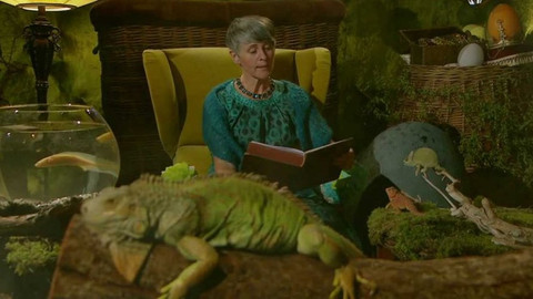 Dračí pohádky - Dračí příběh ze staré Prahy