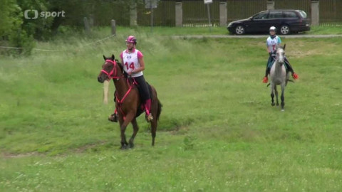 Jezdectví - M ČR a MZ ve vytrvalosti CEI Slavošov