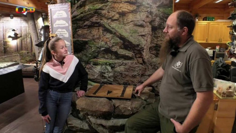 Wifina - 13. listopadu 2020