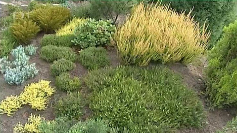 Zahrada je hra - 16. srpna 2007