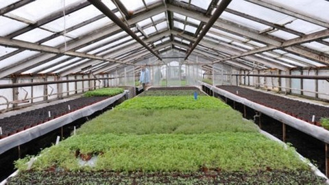 Kluci v akci - Bylinková