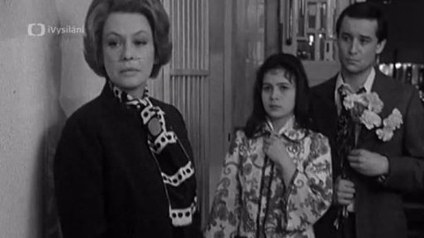 Bakaláři - První pohled