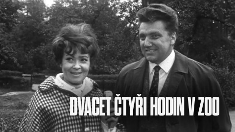 Dvacet čtyři hodin v ZOO