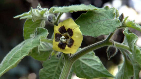 Hobby naší doby - Hoby naší doby