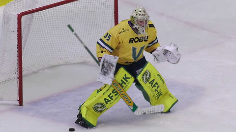 1. česká hokejová liga mužů - Maxa liga - souhrn