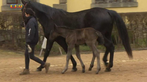 Zprávičky - 16. února 2020