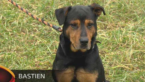 Chcete mě? - Chcete je?