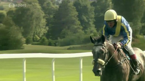 Turf - 11. června 2014