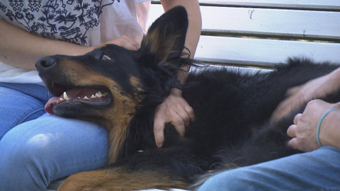 Chcete mě? - 18. října 2020