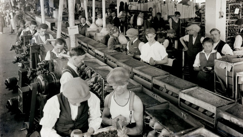 Industrie - 3/12 Výroba války