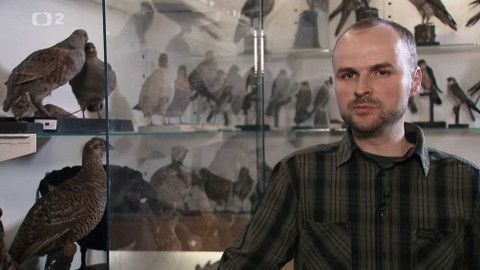 Nedej se! - O koroptvích a lidech