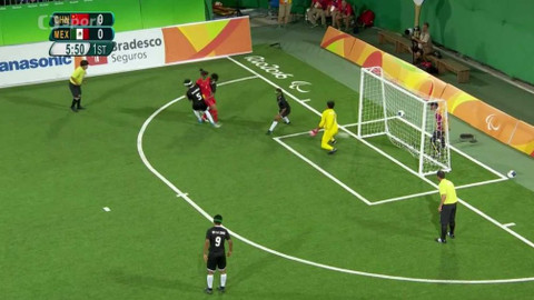 XV. letní paralympijské hry 2016 Rio de Janeiro - Souhrn z průběhu soutěží