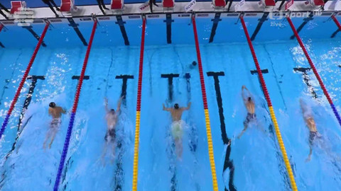 MS v plavání 2025 Singapur - MS Singapur